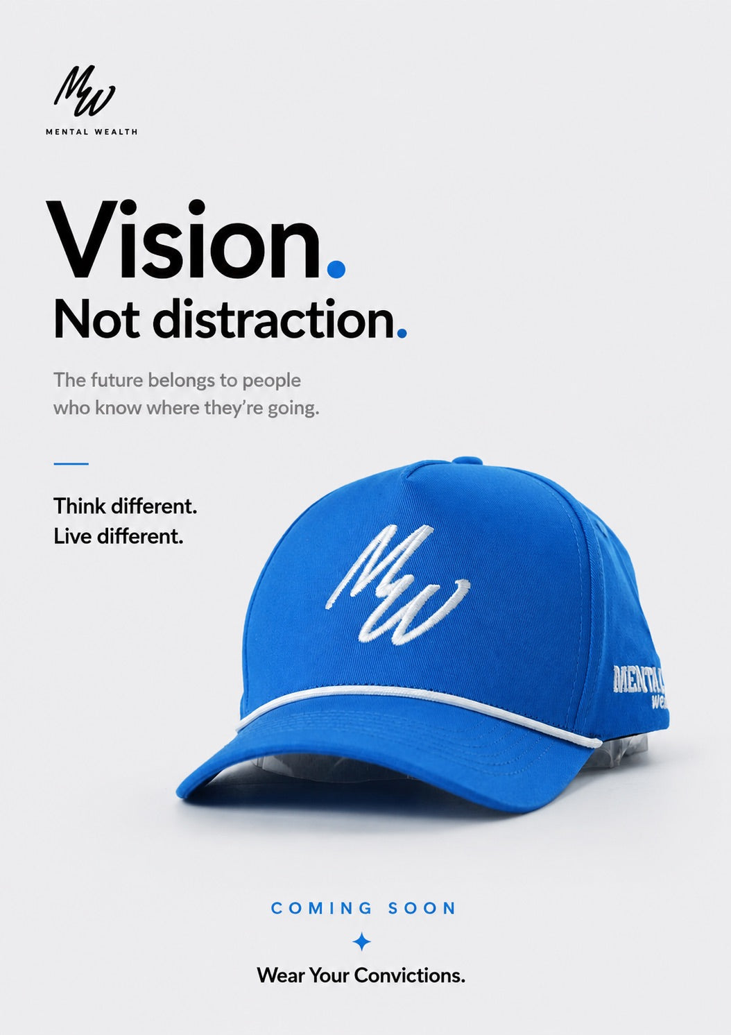 Mental Wealth Hat - Vision