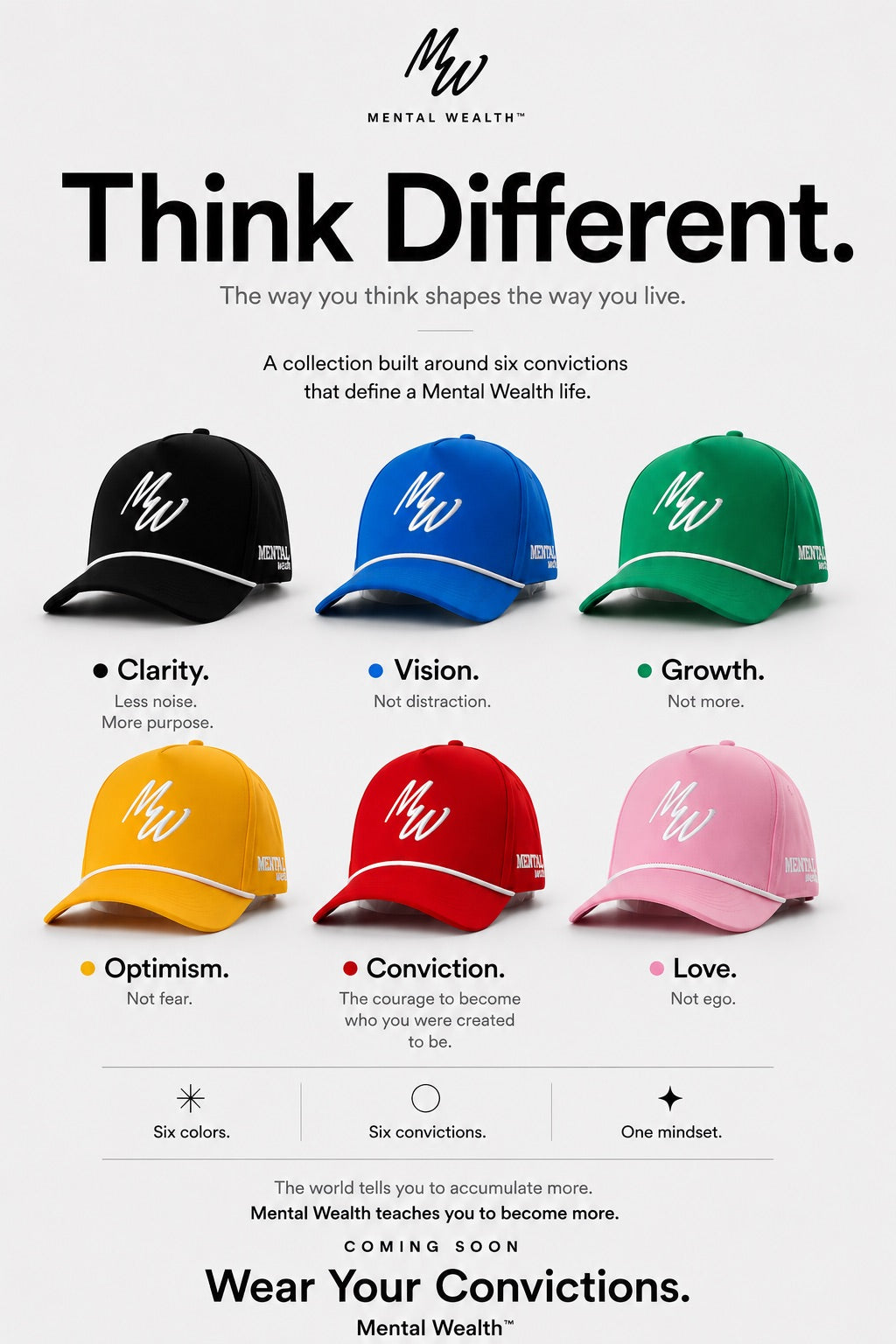 Mental Wealth Hat - Vision