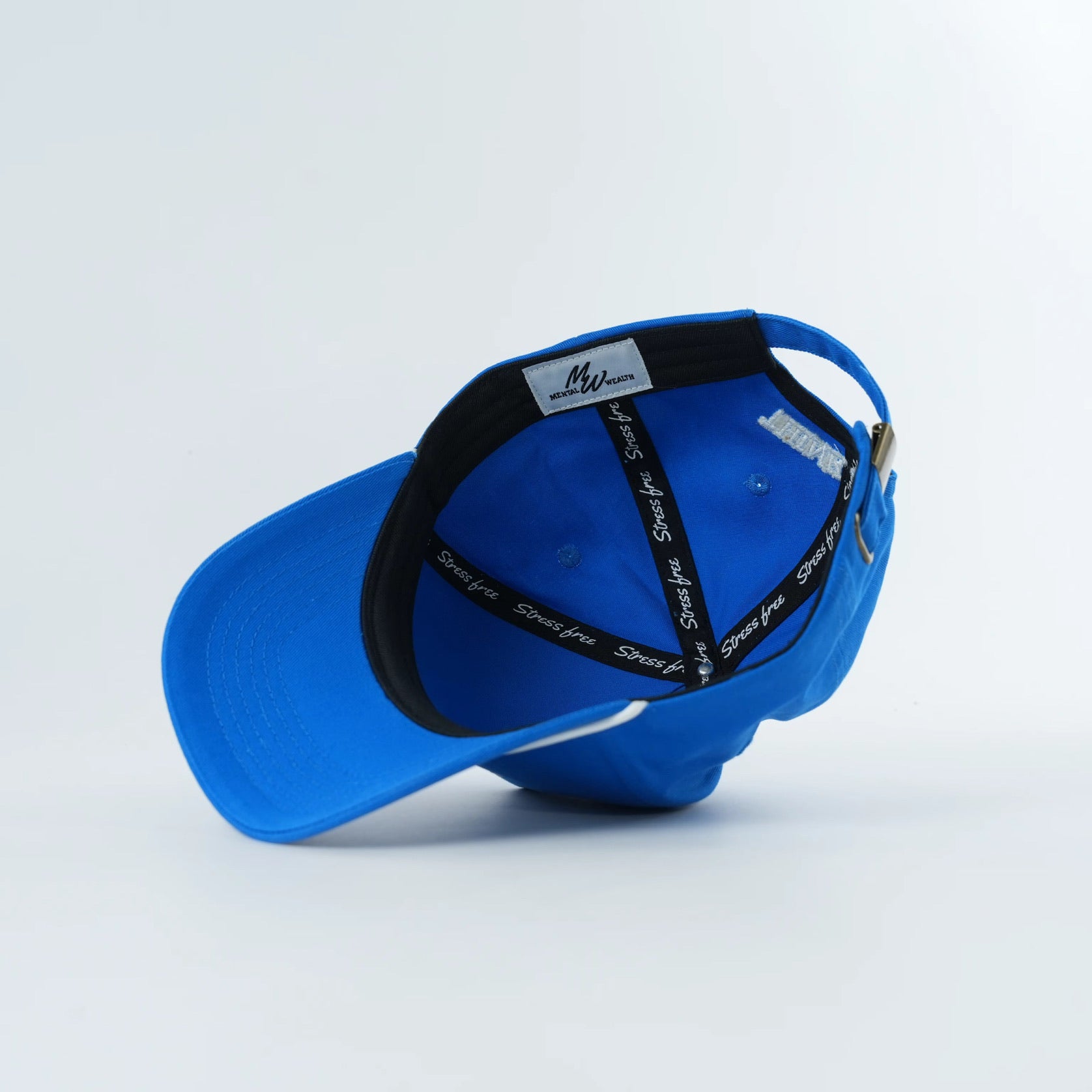 Mental Wealth Hat - Vision