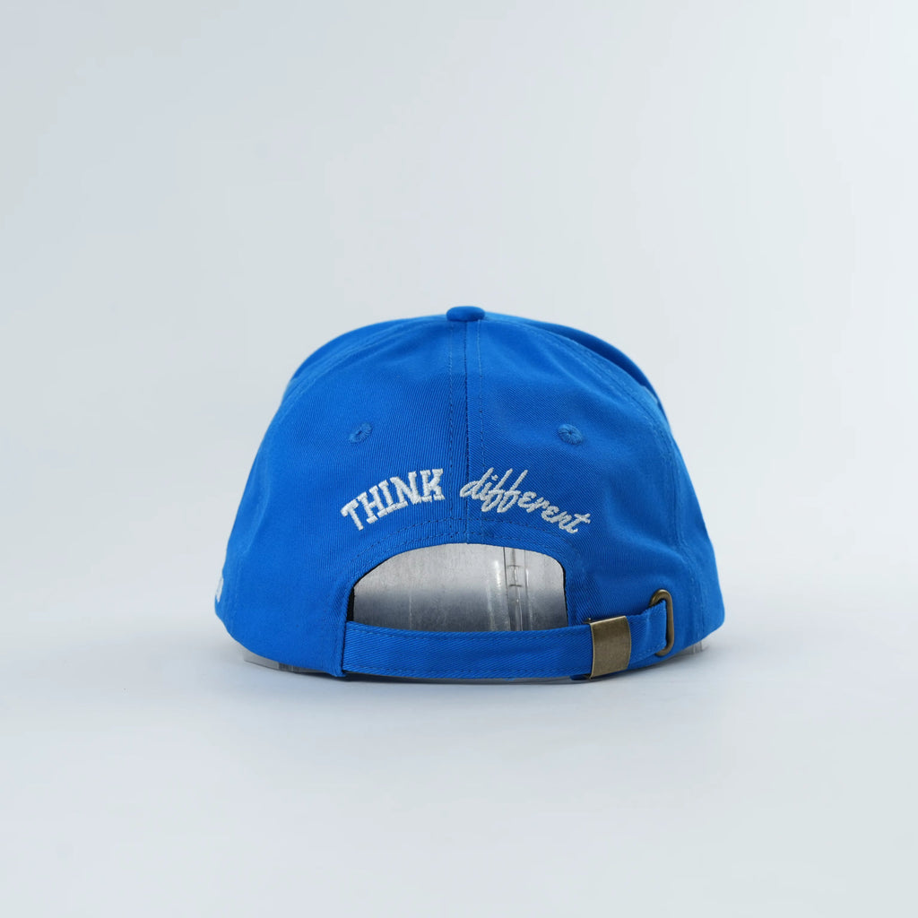 Mental Wealth Hat - Vision
