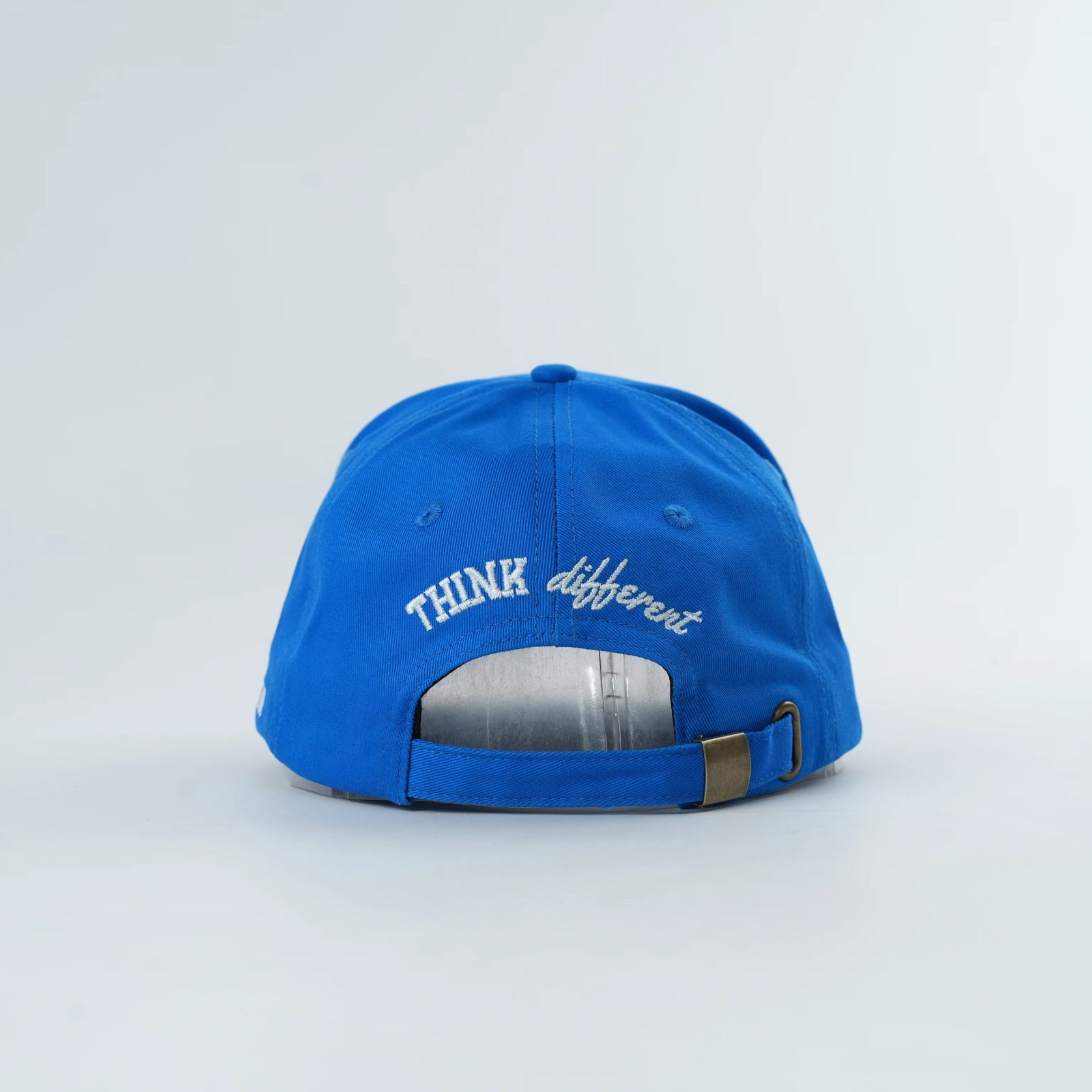 Mental Wealth Hat - Vision
